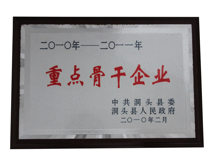 2010年-2011年重點(diǎn)骨干企業(yè)