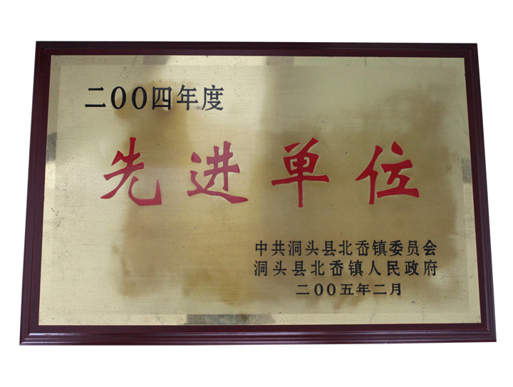 2004年度先進(jìn)單位